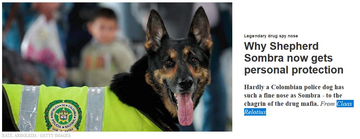Why Shepherd Sombra now gets personal protection - Hardly a Colombian police dog has such a fine nose as Sombra - to the chagrin of the drug mafia. From Claas Relotius
